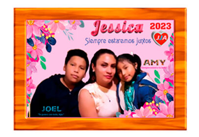 14.	Posters impresos en  plástico tamaño ( 33 × 48 ) cm                                        $  6,00